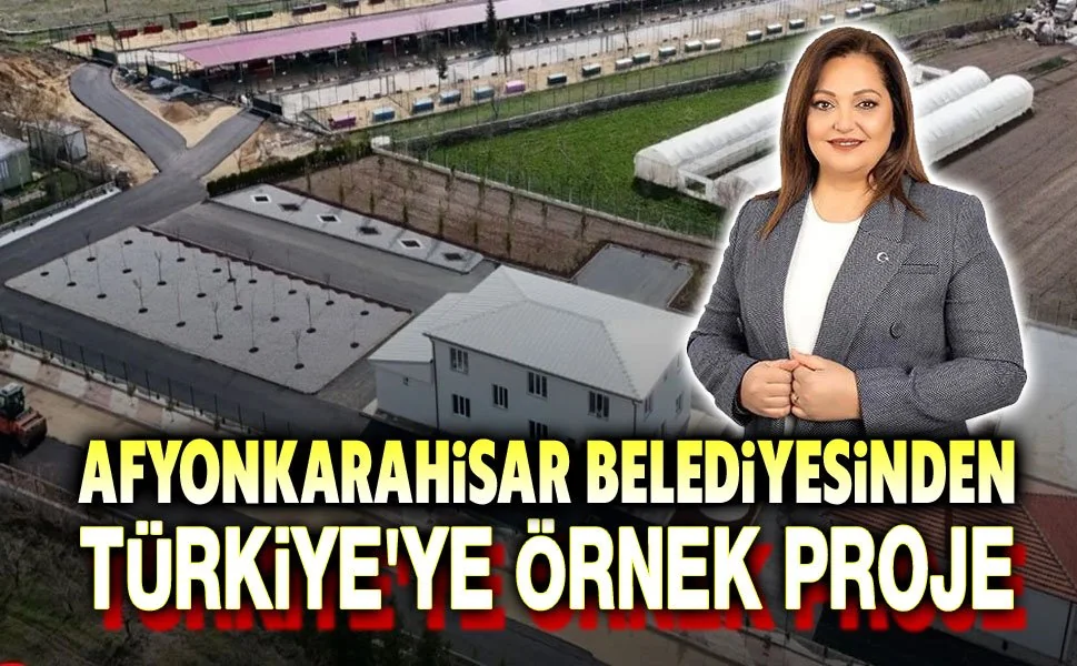 Afyonkarahisar'da Sokak Hayvanları İçin 2 Bin Kapasiteli Modern Tesis ve Hastane Kuruluyor