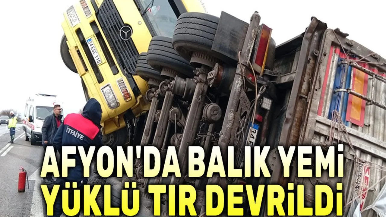 Afyonkarahisar Dinar'da Balık Yemi Yüklü Tır Şarampole Devrildi: Sürücü Yaralı