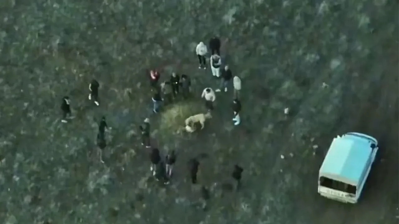 Sandıklı’da Vahşete Havadan Baskın: Yasa Dışı Köpek Dövüşüne 14 Gözaltı